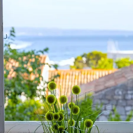 Stone Majestic W Pool - Center * Split