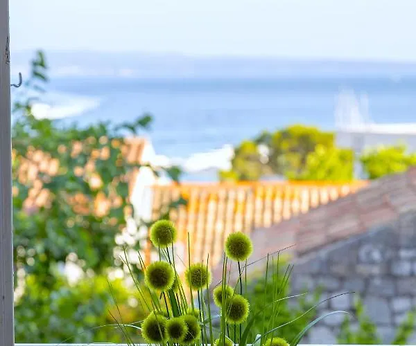 Stone Majestic W Pool - Center * Split